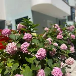 Art Studio Apartments Durres